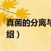 真菌的分离与鉴定(关于真菌的分离与鉴定介绍) 真菌的分离与鉴定(关于真菌的分离与鉴定介绍)