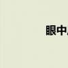眼中风（关于眼中风介绍）