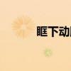眶下动脉（关于眶下动脉介绍）