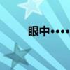 眼中······（关于眼中······介绍）