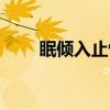 眠倾入止怀（关于眠倾入止怀介绍）