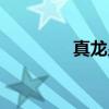 真龙皇（关于真龙皇介绍）