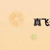 真飞圣(关于真飞圣介绍) 真飞圣(关于真飞圣介绍)