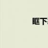 眶下裂（关于眶下裂介绍）