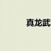 真龙武尊（关于真龙武尊介绍）