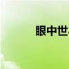 眼中世界（关于眼中世界介绍）