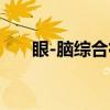 眼-脑综合征（关于眼-脑综合征介绍）