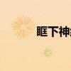 眶下神经（关于眶下神经介绍）