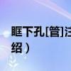 眶下孔[管]注射法（关于眶下孔[管]注射法介绍）