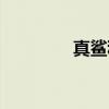 真鲨科（关于真鲨科介绍）
