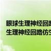 眼球生理神经回路仿生视觉芯片技术与验证系统（关于眼球生理神经回路仿生视觉芯片技术与验证系统介绍）