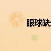 眼球缺失（关于眼球缺失介绍）