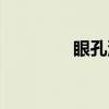 眼孔浅（关于眼孔浅介绍）