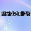 眼挫伤和撕裂伤（关于眼挫伤和撕裂伤介绍）
