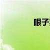 眼子菜（关于眼子菜介绍）