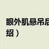 眼外肌悬吊后徙术（关于眼外肌悬吊后徙术介绍）