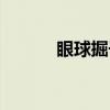 眼球掘子（关于眼球掘子介绍）