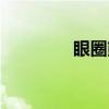 眼圈熊（关于眼圈熊介绍）