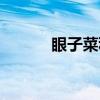 眼子菜科（关于眼子菜科介绍）