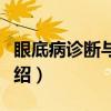 眼底病诊断与治疗（关于眼底病诊断与治疗介绍）