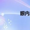 眼内压（关于眼内压介绍）