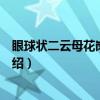 眼球状二云母花岗片麻岩（关于眼球状二云母花岗片麻岩介绍）