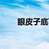 眼皮子底下（关于眼皮子底下介绍）