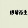 眼睛寄生虫（关于眼睛寄生虫介绍）