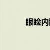 眼睑内翻（关于眼睑内翻介绍）