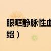 眼眶静脉性血管瘤（关于眼眶静脉性血管瘤介绍）