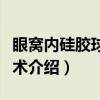 眼窝内硅胶球植入术（关于眼窝内硅胶球植入术介绍）