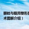 眼睑与眶周整形美容手术图解（关于眼睑与眶周整形美容手术图解介绍）