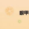 眼甲科（关于眼甲科介绍）