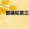 眼镜蛇第三季（关于眼镜蛇第三季介绍）