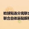 睑球粘连分离联合自体唇黏膜移植手术（关于睑球粘连分离联合自体唇黏膜移植手术介绍）
