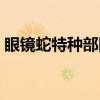 眼镜蛇特种部队（关于眼镜蛇特种部队介绍）