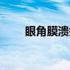 眼角膜溃疡(关于眼角膜溃疡介绍) 眼角膜溃疡(关于眼角膜溃疡介绍)