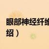 眼部神经纤维瘤病（关于眼部神经纤维瘤病介绍）
