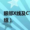 眼部X线及CT检查（关于眼部X线及CT检查介绍）