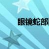 眼镜蛇部队（关于眼镜蛇部队介绍）