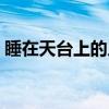 睡在天台上的人（关于睡在天台上的人介绍）
