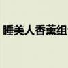 睡美人香薰组合（关于睡美人香薰组合介绍）