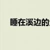 睡在溪边的鱼（关于睡在溪边的鱼介绍）