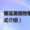 睡莲属植物繁殖形式（关于睡莲属植物繁殖形式介绍）