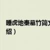睡虎地秦墓竹简文字研究（关于睡虎地秦墓竹简文字研究介绍）