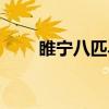 睢宁八匹马（关于睢宁八匹马介绍）