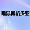 睡鼠博格多亚种（关于睡鼠博格多亚种介绍）