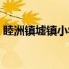 睦洲镇墟镇小学（关于睦洲镇墟镇小学介绍）