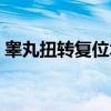 睾丸扭转复位术（关于睾丸扭转复位术介绍）