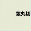 睾丸切除（关于睾丸切除介绍）